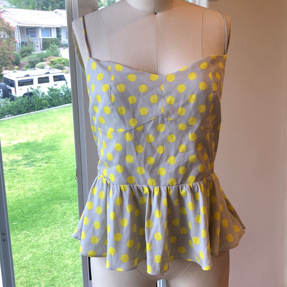 Zara polkadot fit and flare top